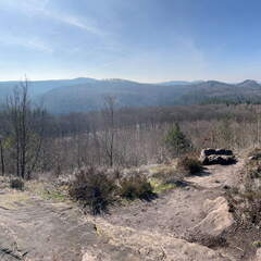 24-02-29 11-59-15 8835